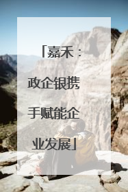 嘉禾：政企银携手赋能企业发展